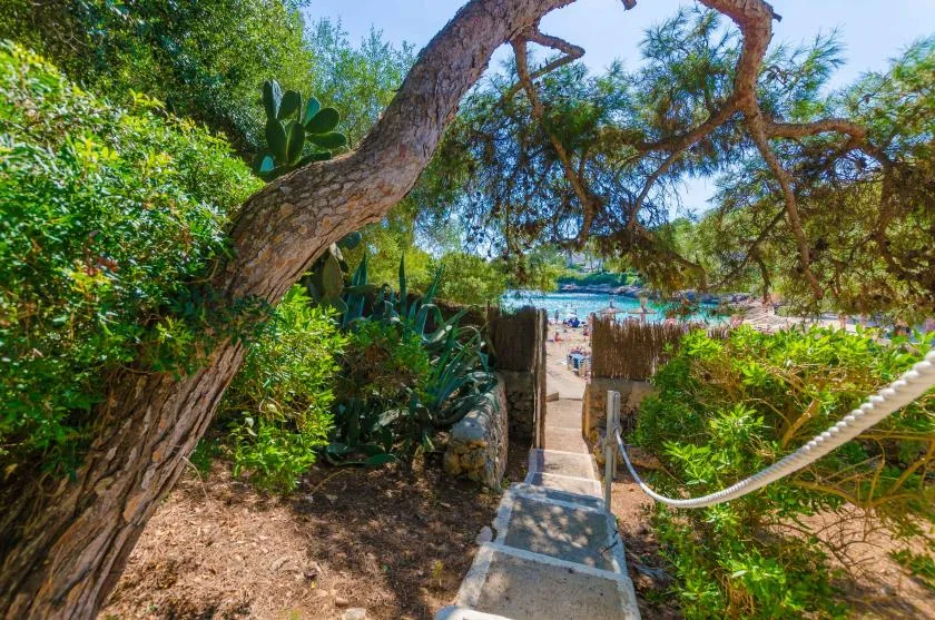 Un sendero sombreado atraviesa la vegetación y conduce a la playa y al mar.
