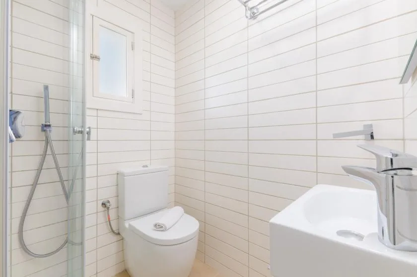 Un baño alicatado con inodoro, ducha de mano y lavabo.