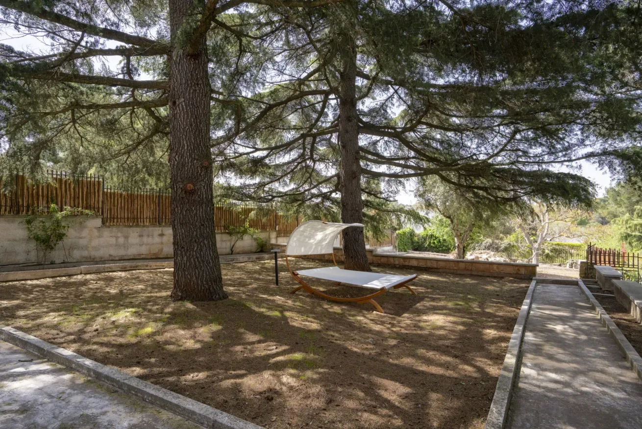 A shaded outdoor seating area beneath large trees, with a paved walkway.