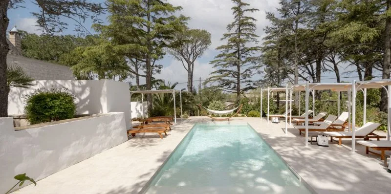 An outdoor swimming pool is surrounded by sun loungers and trees.