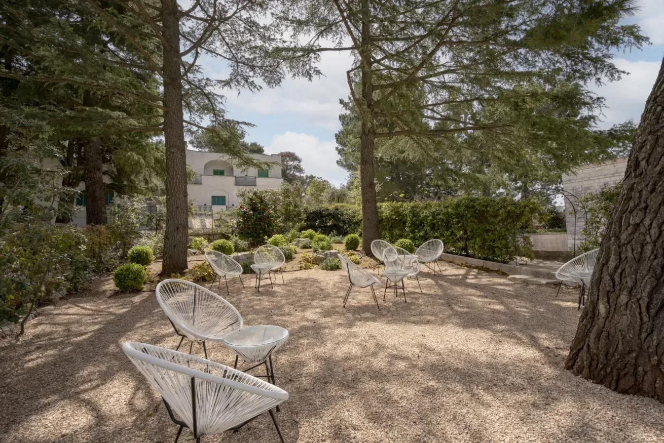 An outdoor seating area with scattered chairs beneath tall trees.