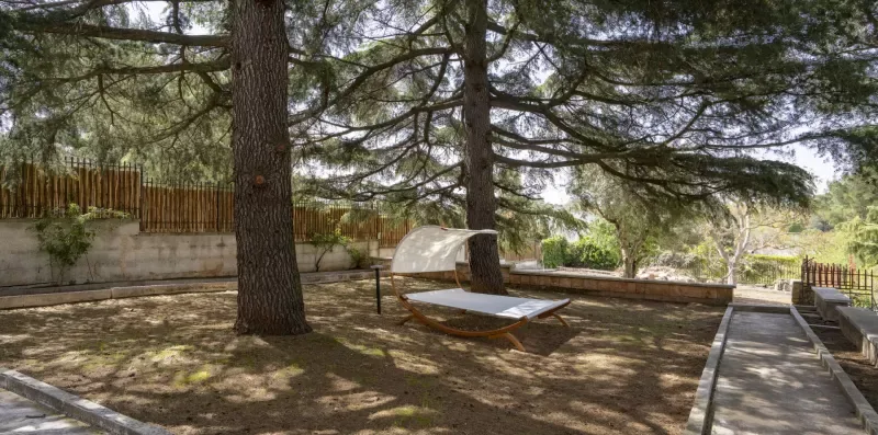 An outdoor patio beneath large trees, with a hammock and a paved walkway.