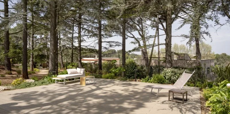 An outdoor patio with seating beneath tall trees.