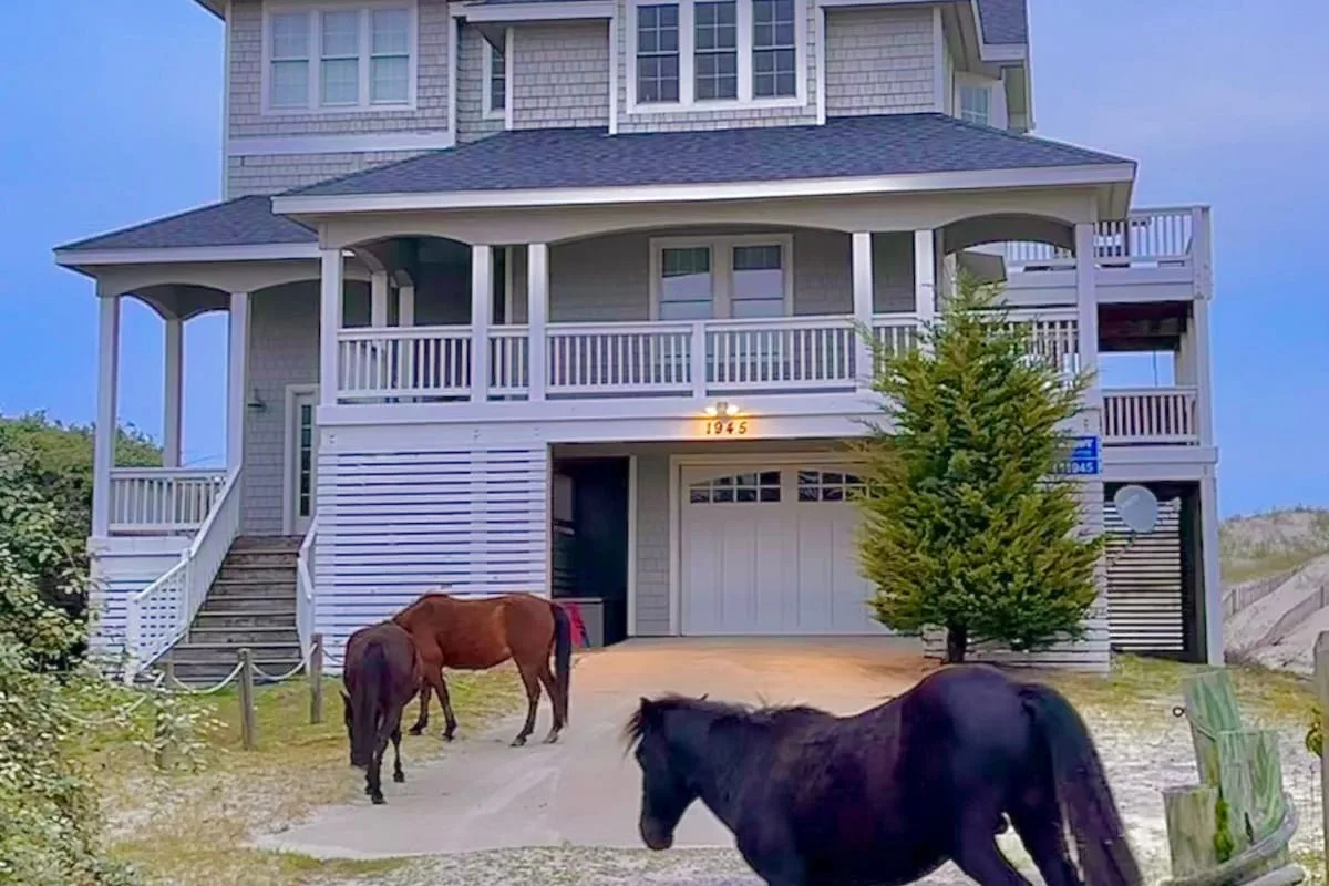 A large raised coastal house with a covered porch and horses in the driveway.