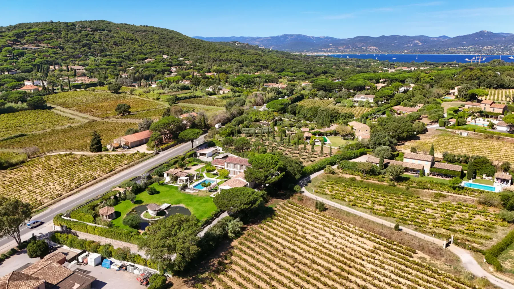 Vista aérea de un paisaje rural con viñedos, casas y una carretera sinuosa, con colinas boscosas y una bahía lejana al fondo.