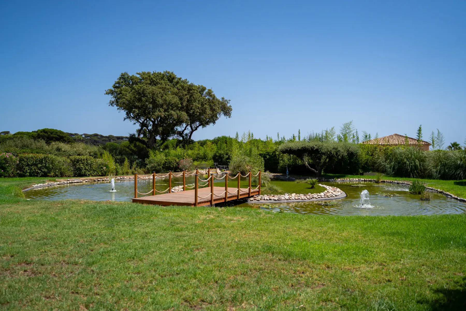 Un puente de madera sobre un estanque con fuentes, rodeado de vegetación exuberante y un gran árbol bajo un cielo azul despejado.