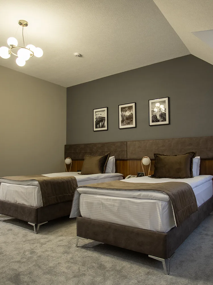 Habitación deluxe con dos camas individuales