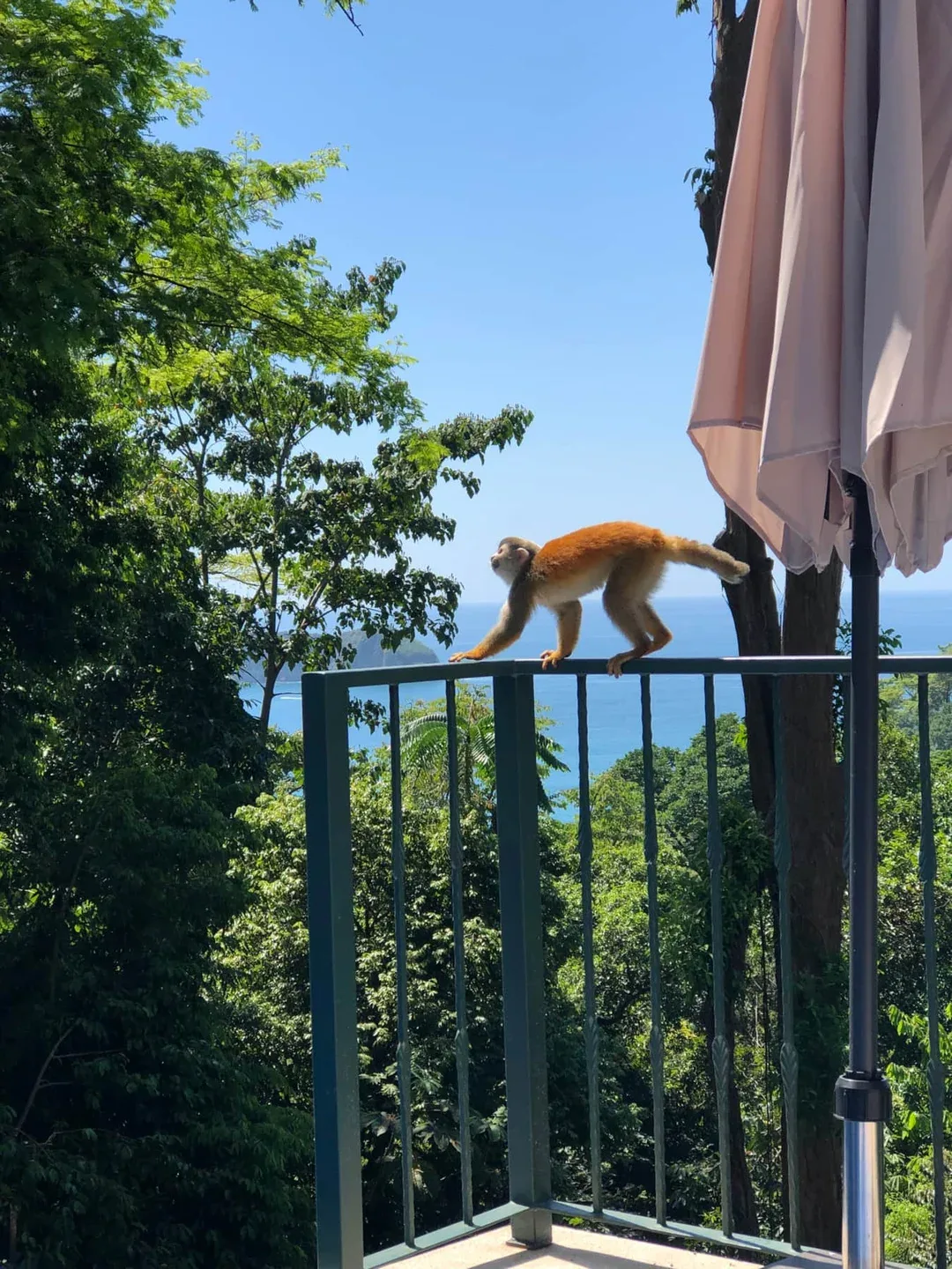 Mi Casa es Su Casa · 18. Mi Casa es Su Casa