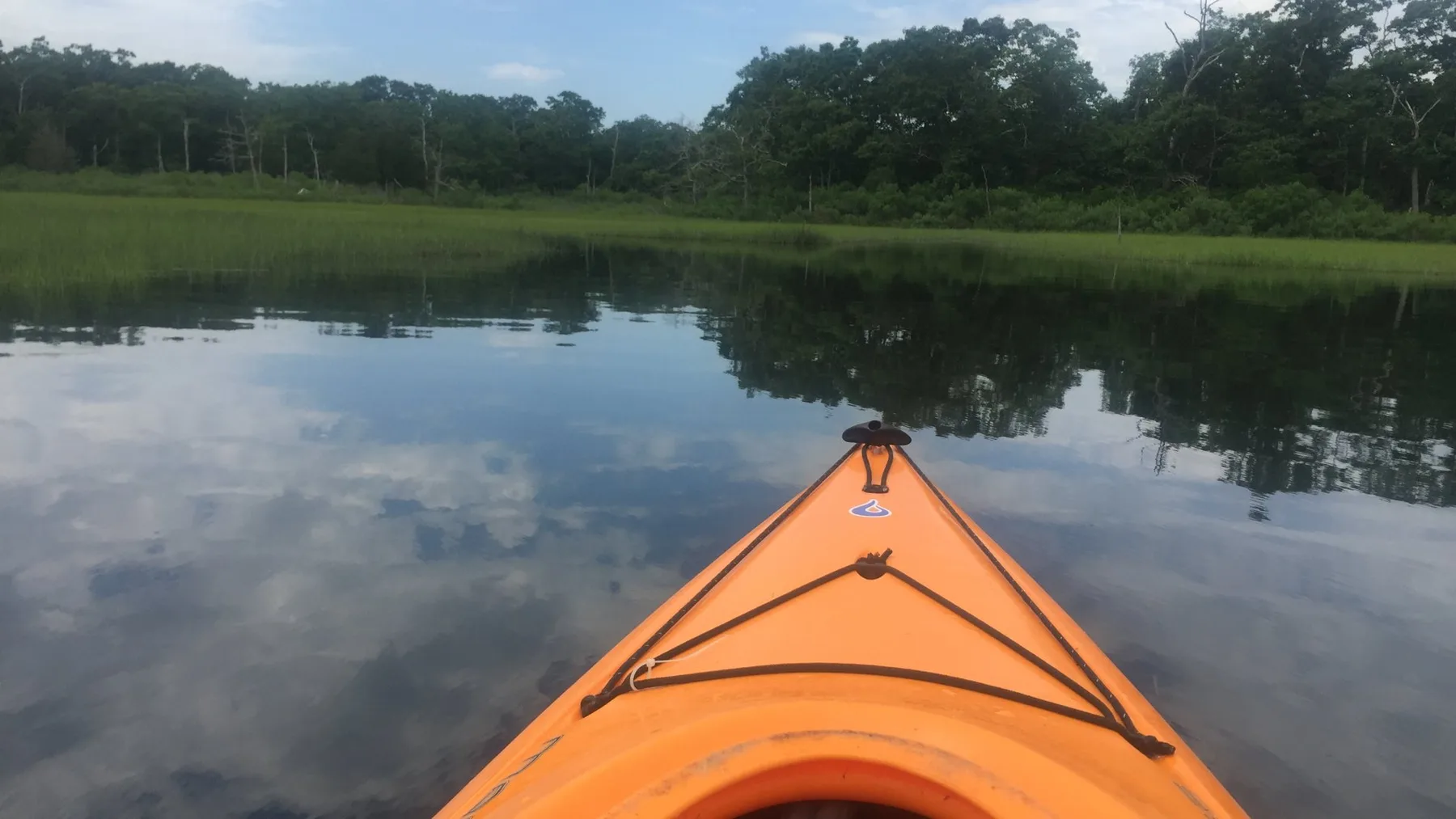 Un kayak naranja avanza por aguas tranquilas hacia una orilla arbolada.