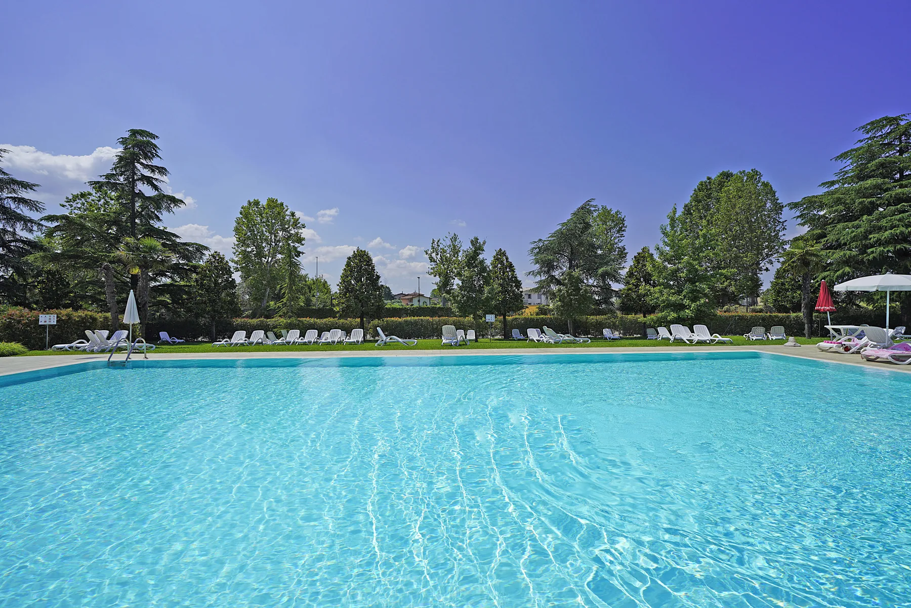 Una piscina al aire libre rodeada de árboles y asientos para descansar.