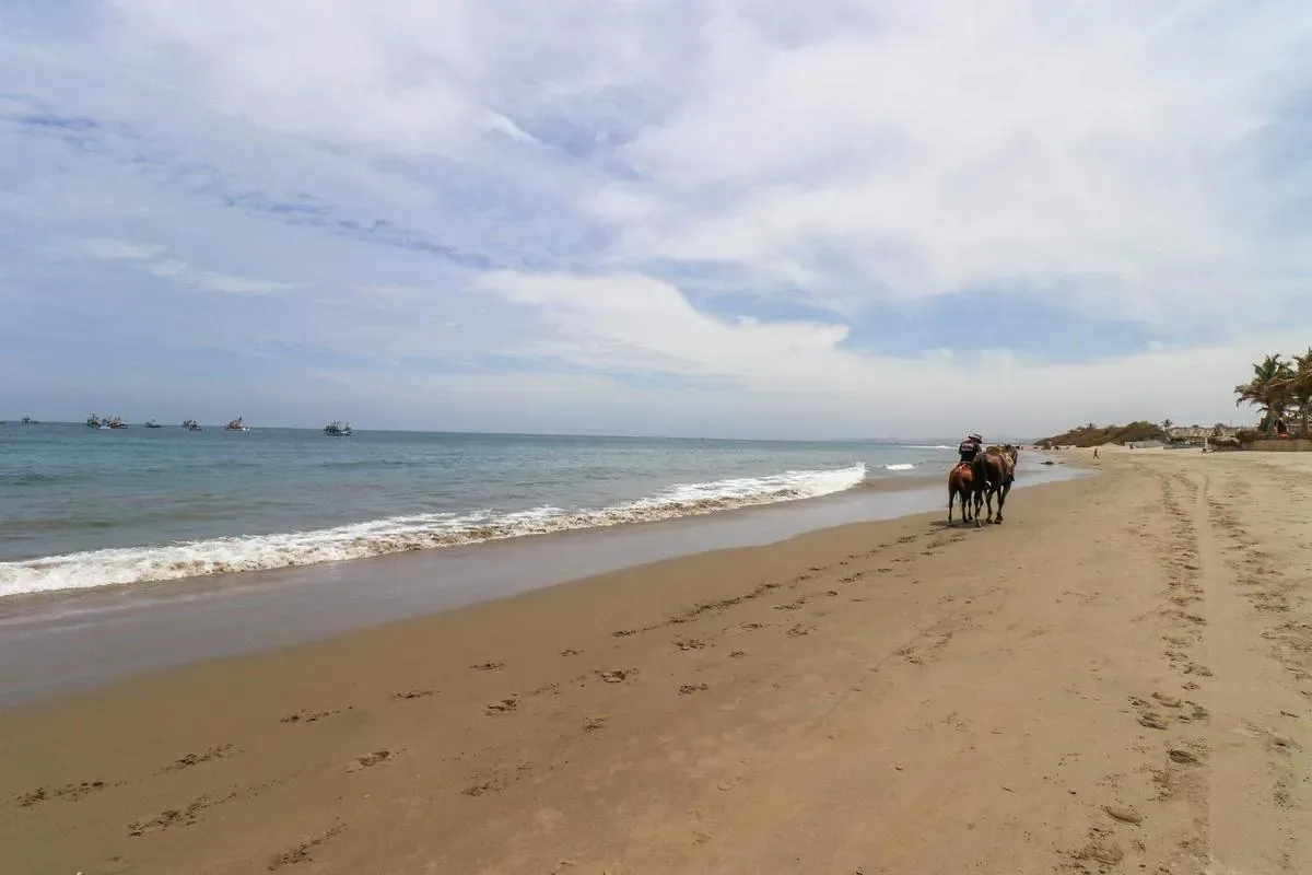 Astonishing 2BR with Spectacular Ocean View