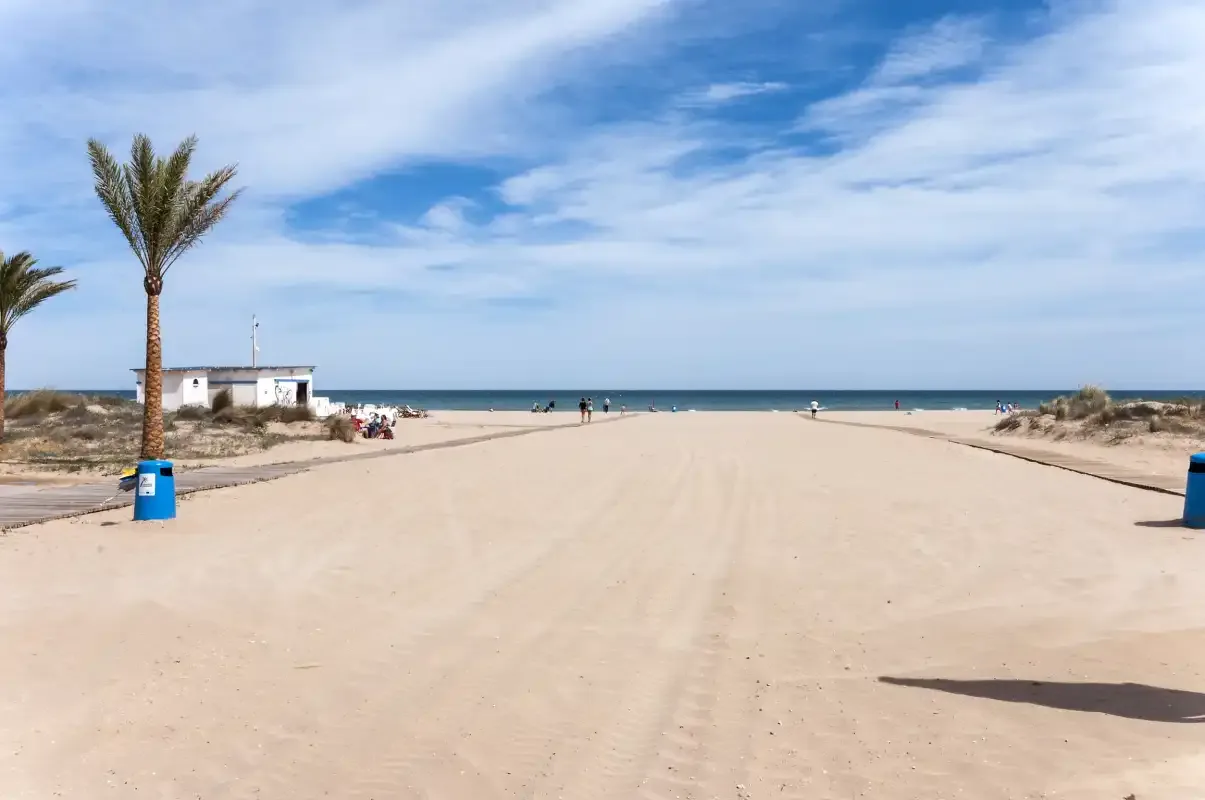Un camino de arena conduce hacia el mar, con palmeras a un lado.