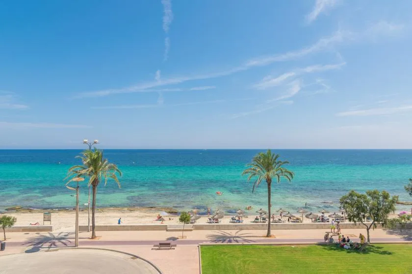 A seaside beach with turquoise water, palm trees, and a grassy foreground.