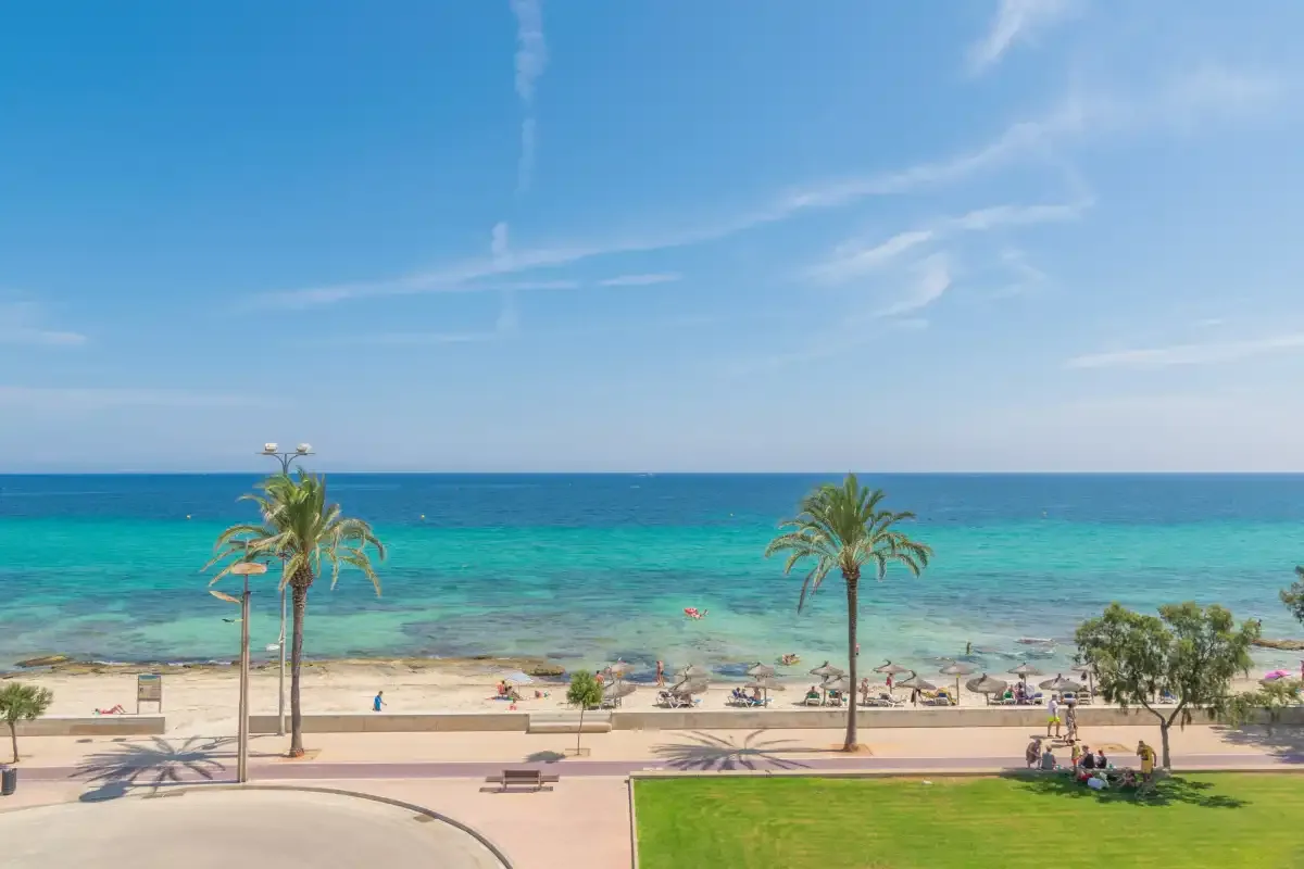 A sandy beach and turquoise sea are seen beyond a palm-lined promenade.