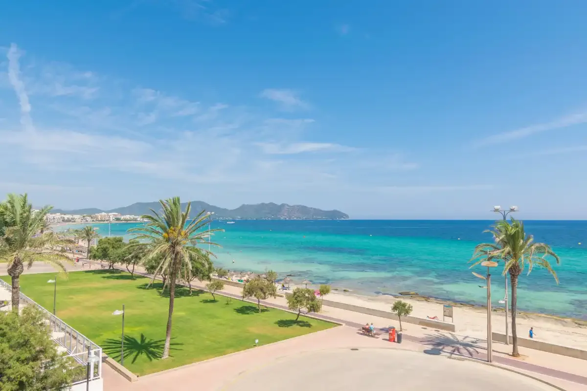 A seaside promenade borders a green lawn, with palm trees and turquoise water beyond.