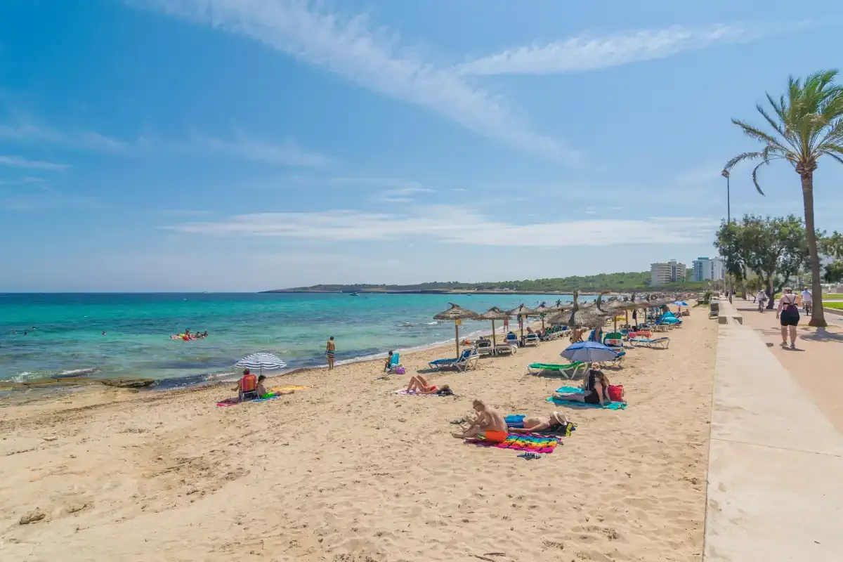 A sandy beach and turquoise water stretch beside a palm-lined promenade.