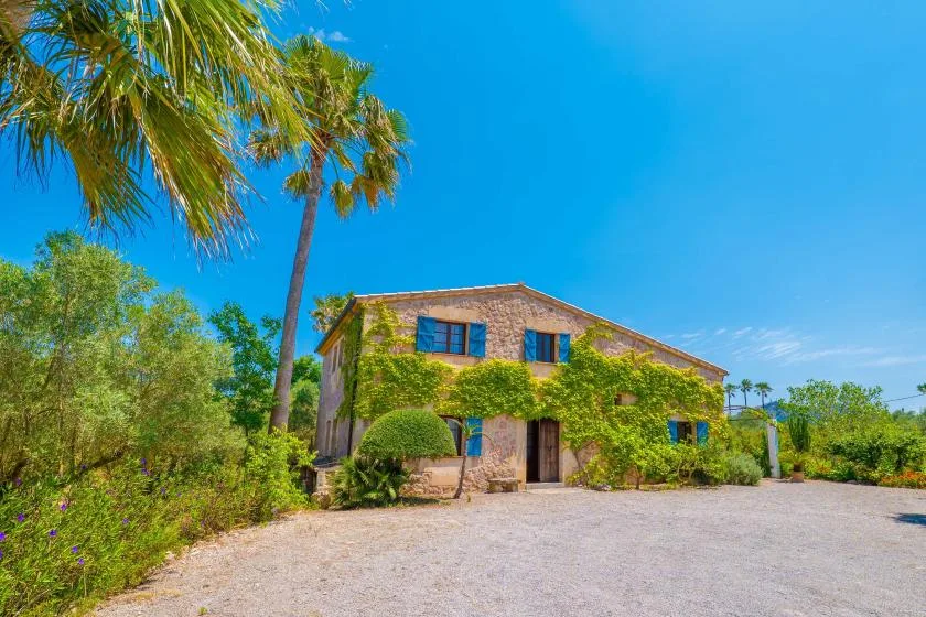 A vine-covered two-story building stands beside a gravel driveway and palm trees.