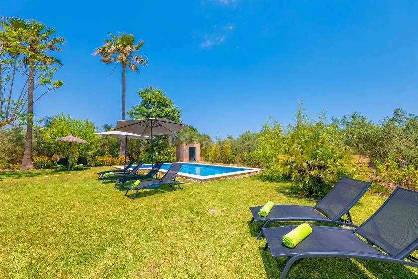 A garden pool area with lounge seating and umbrellas on the lawn.