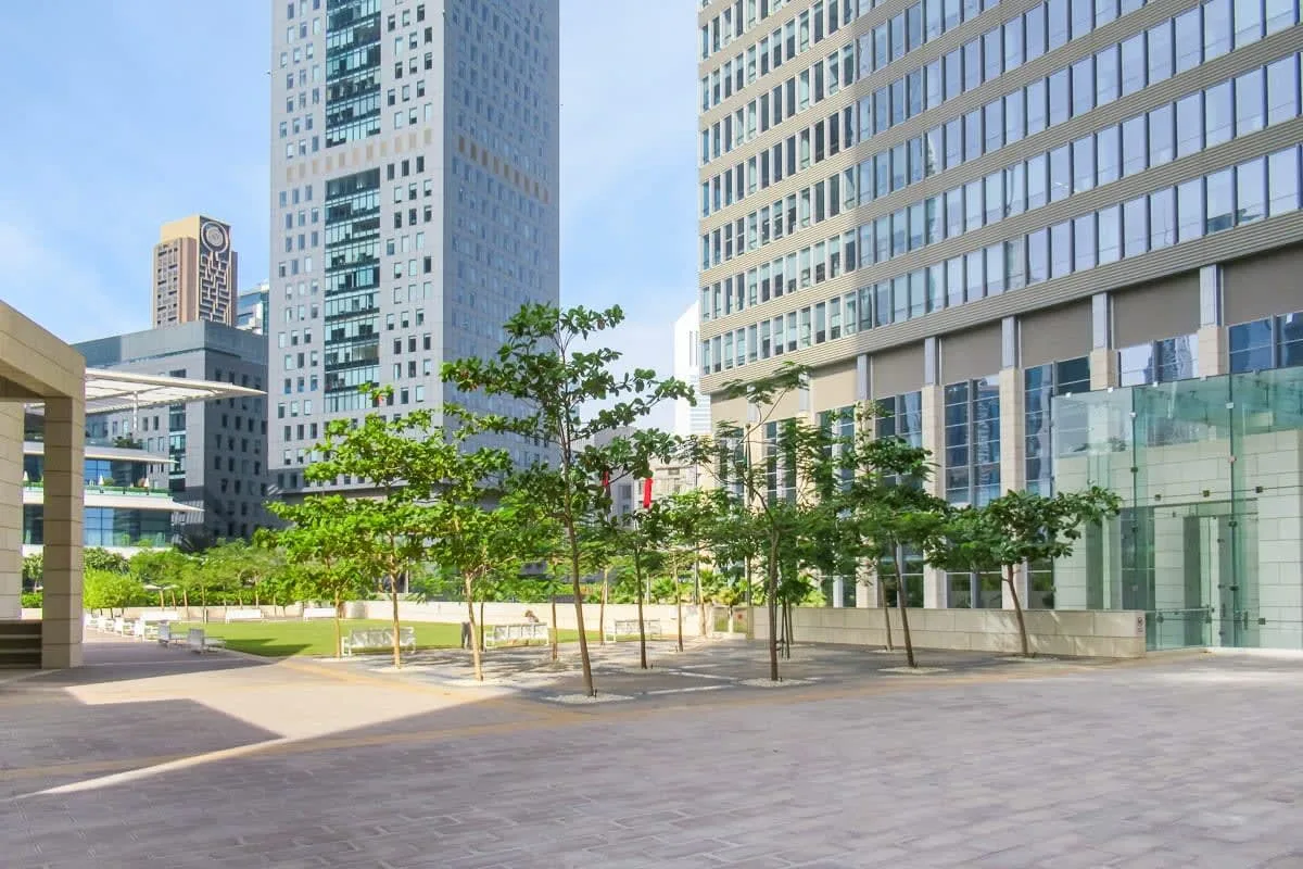 An urban plaza with small trees stands among modern office buildings.