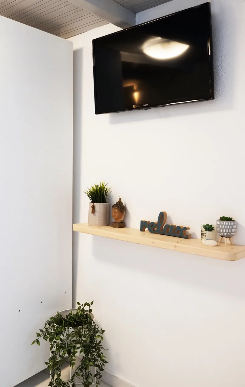 A bright interior corner features a wall-mounted television above a wooden shelf with plants.