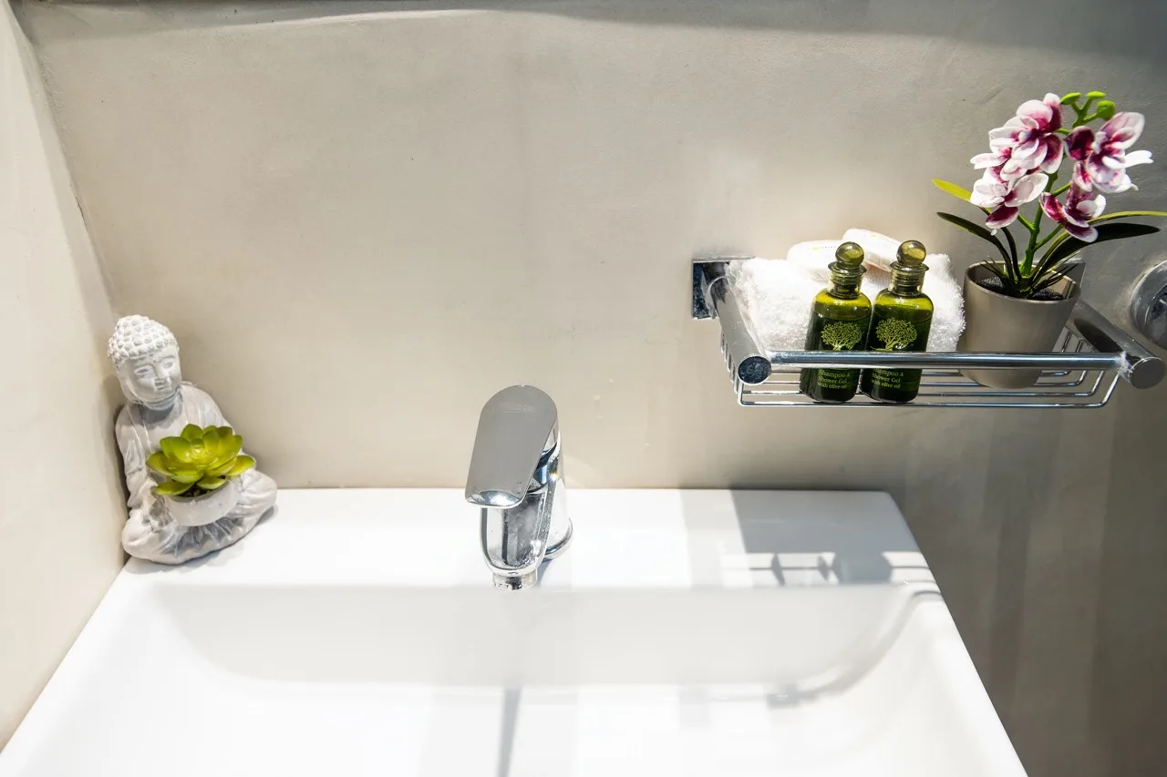A bathroom sink with a wall-mounted shelf holding toiletries and a potted flower.