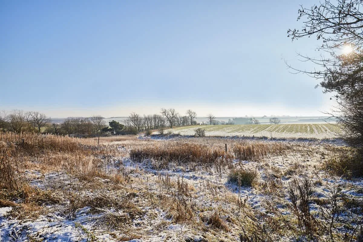 A snowy field with dry grasses stretches toward distant trees under a clear sky.