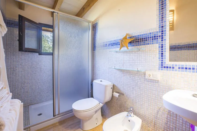 Un baño alicatado con ducha de vidrio, inodoro y lavabo.
