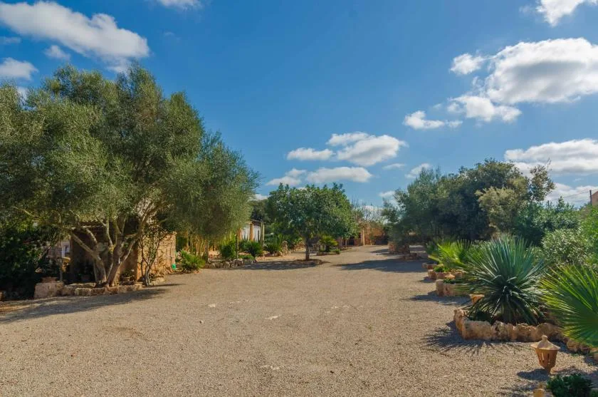 Un patio de grava bordeado de árboles y plantas bajas del desierto bajo un cielo azul.