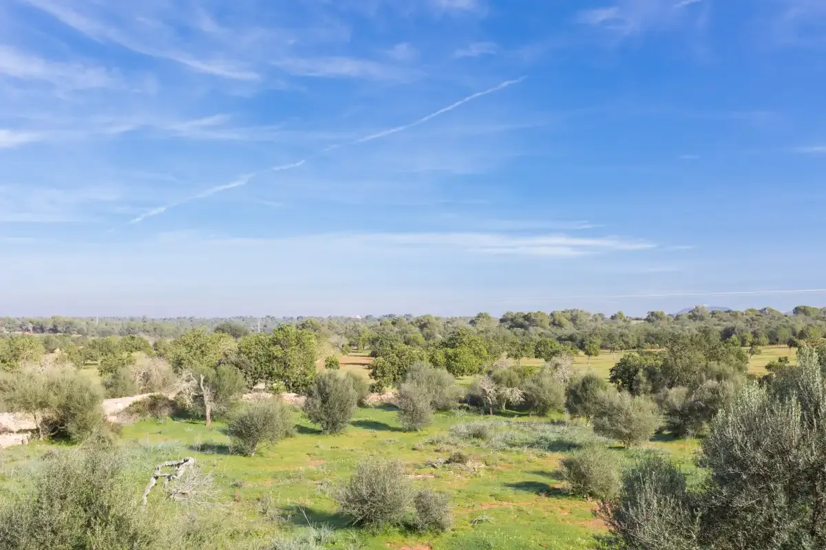 Un paisaje rural verde con árboles dispersos bajo un cielo parcialmente nublado.