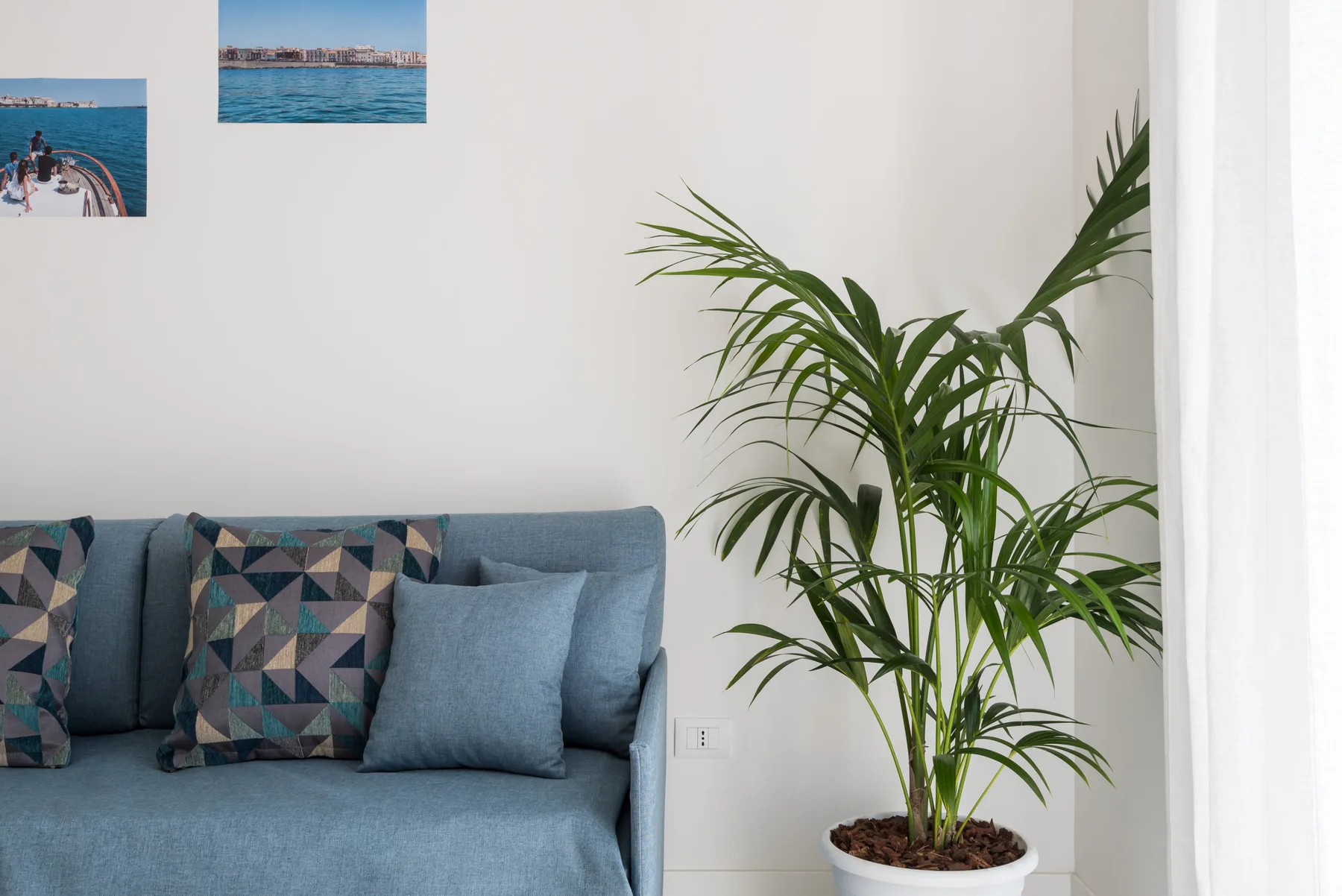 A living room with blue seating, patterned cushions, and a potted palm.