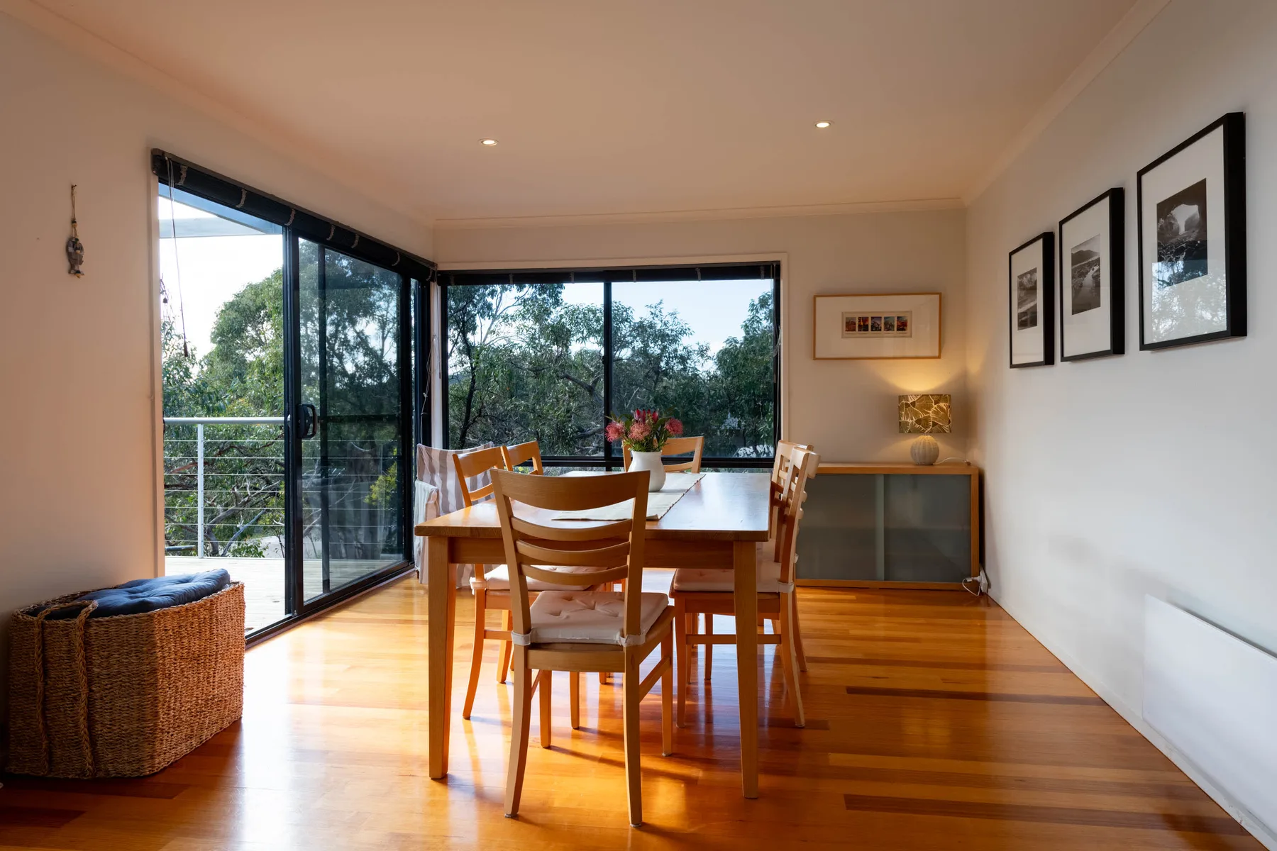 She Oak Treetop Escape