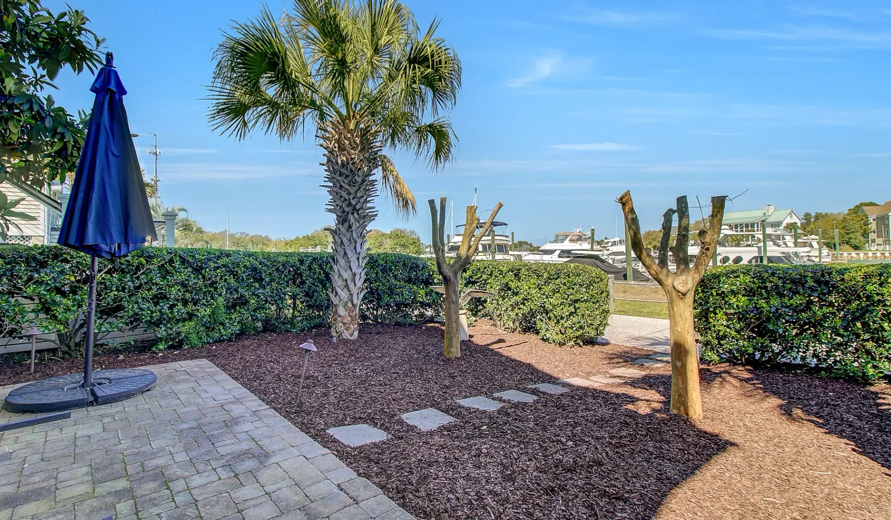 Un jardín exterior con una palmera, setos recortados y un patio pavimentado.