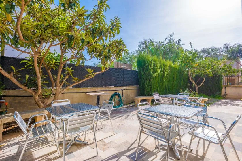 Un patio al aire libre con asientos y mesas de metal bajo árboles frondosos.
