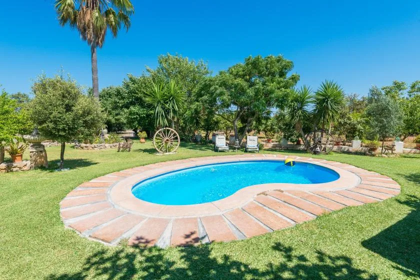 A kidney-shaped swimming pool sits in a sunny garden surrounded by greenery.