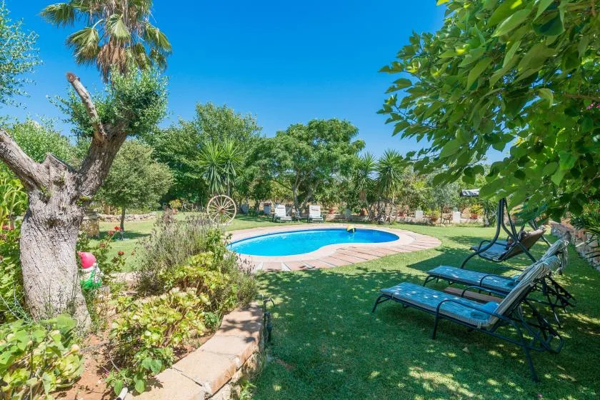 A garden surrounds a swimming pool, with lounge chairs beneath leafy trees.