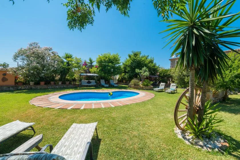 A swimming pool sits in a sunny garden with lawn and surrounding trees.