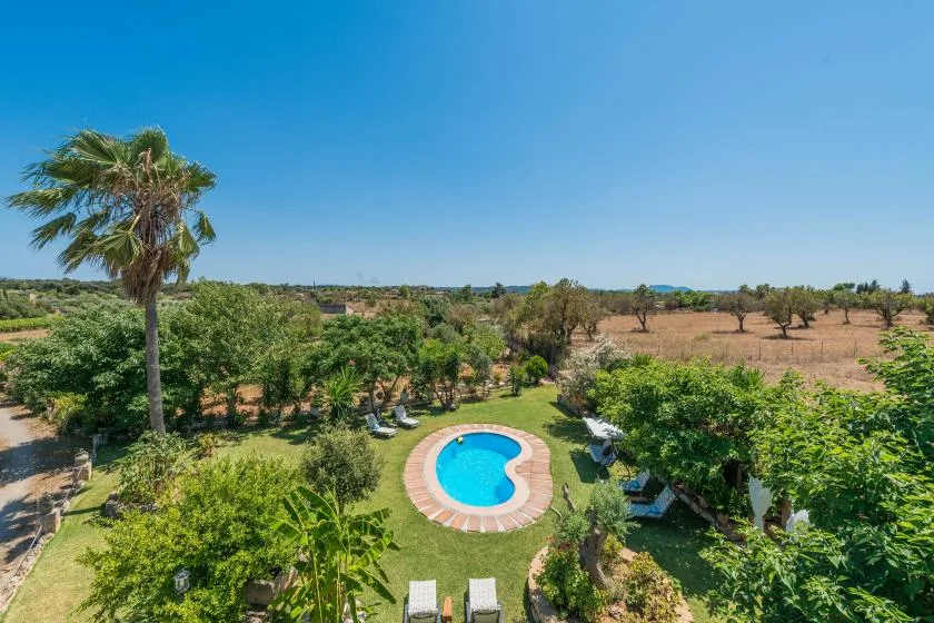 An outdoor garden surrounds a small swimming pool among trees and greenery.