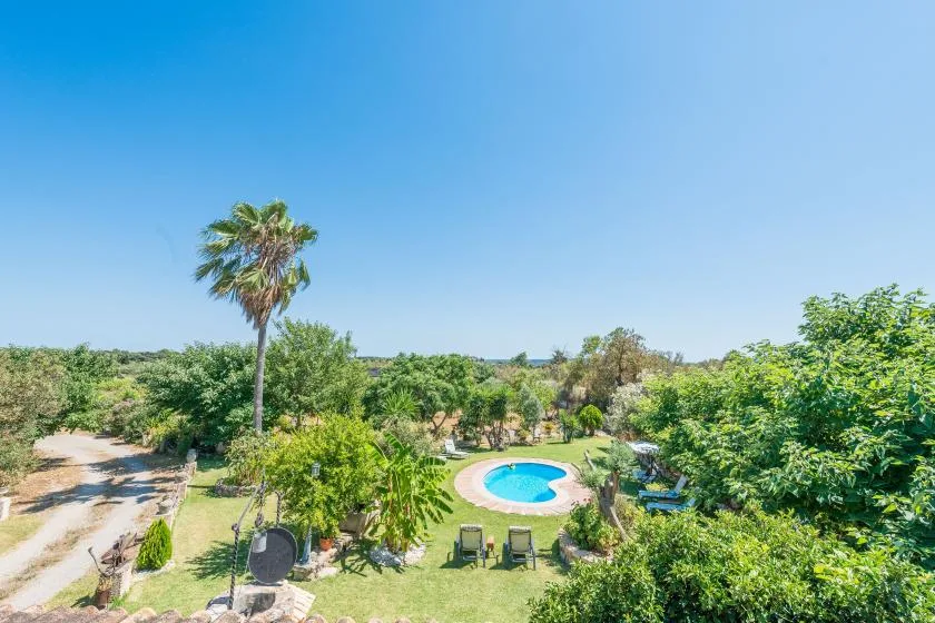 A garden surrounds a small outdoor swimming pool beneath a clear blue sky.