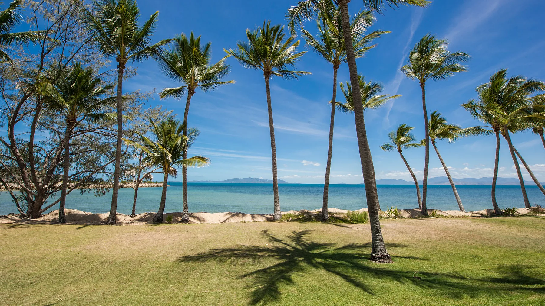 Una zona de césped junto a la playa, con palmeras y vistas al océano.