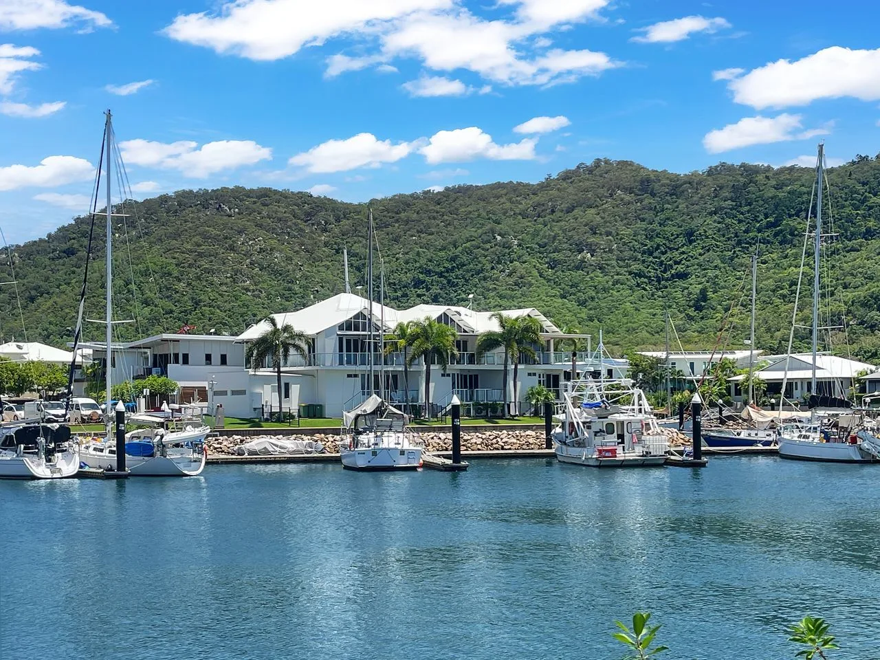 Una marina con barcos amarrados se encuentra frente a una colina verde.