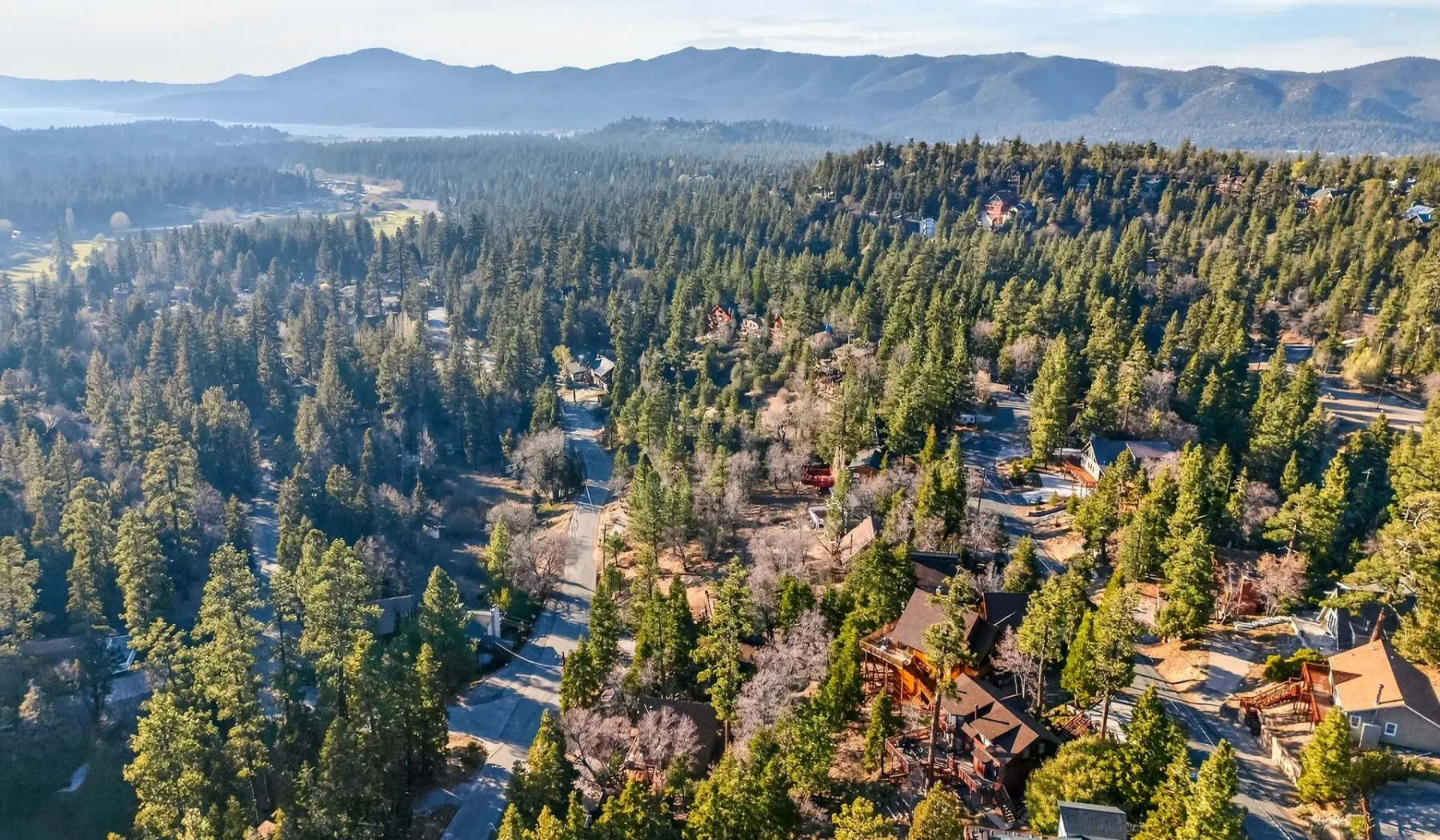 An aerial view of a forested hillside with scattered homes and distant mountains.