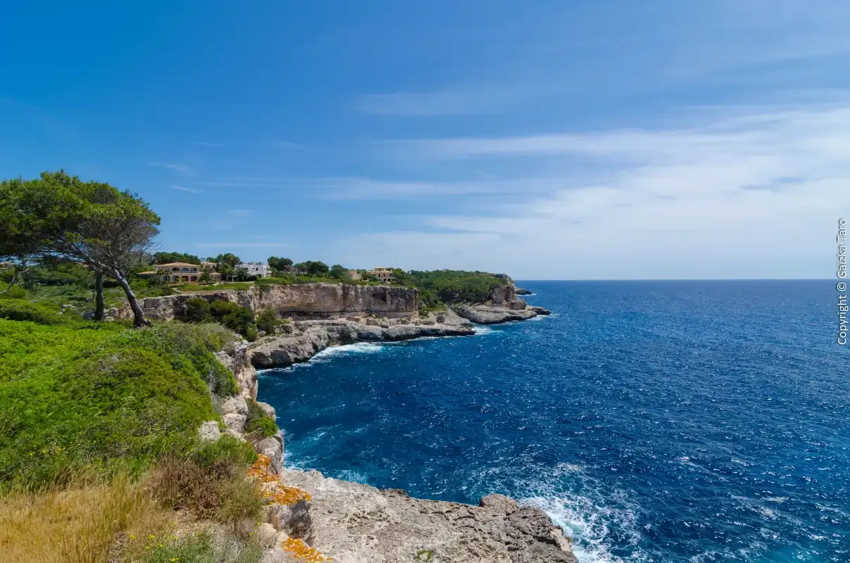 A rocky coastline with green vegetation overlooks the deep blue sea.