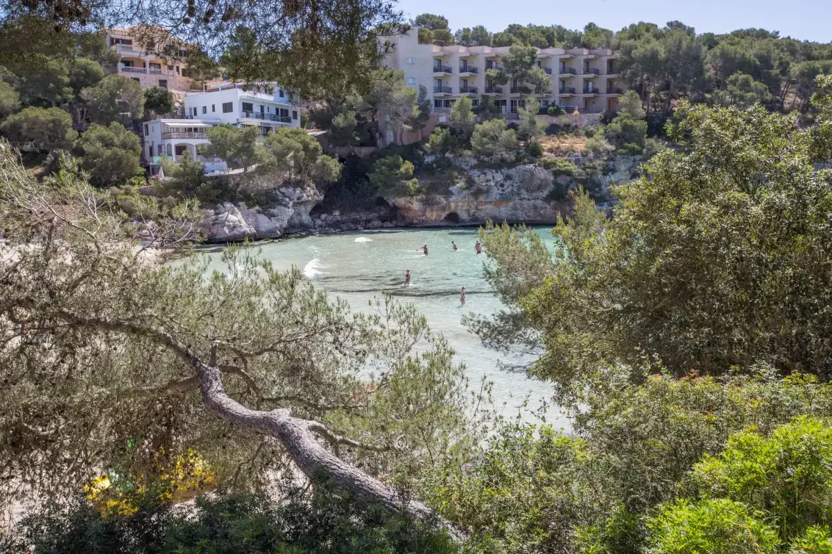 A coastal cove with swimmers, framed by trees and hillside buildings.