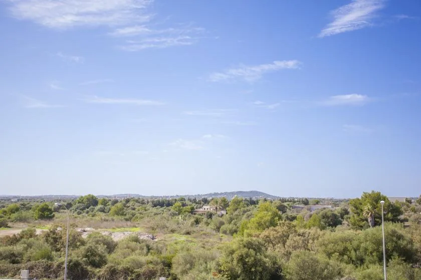 Paisaje abierto con vegetación baja bajo un amplio cielo azul.