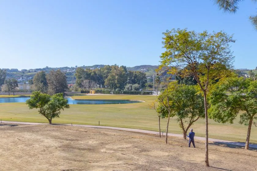 A park landscape with a pond, open grassy areas, and scattered trees.
