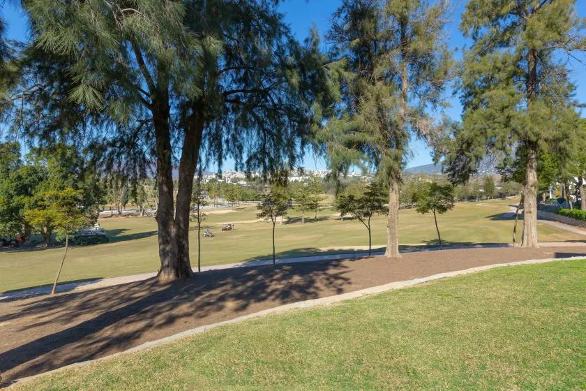 A grassy park with tall trees and a paved path.