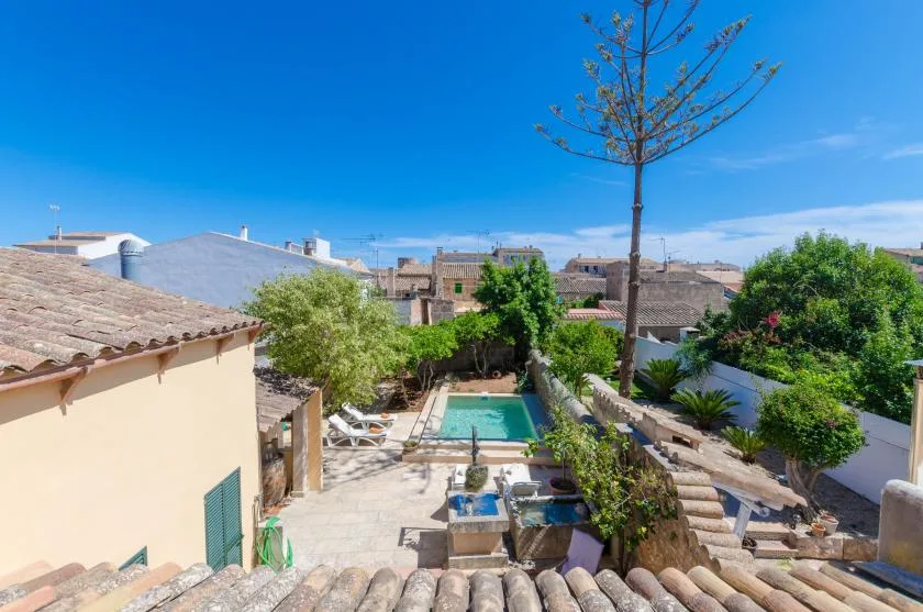 A sunny courtyard with a small swimming pool, paving, and surrounding greenery.