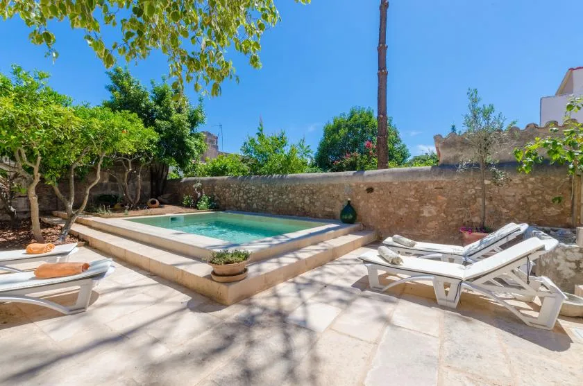 A small outdoor pool sits beside a stone wall, with lounge seating on the patio.