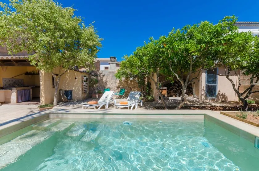 An outdoor swimming pool sits beside a shaded patio and leafy trees.