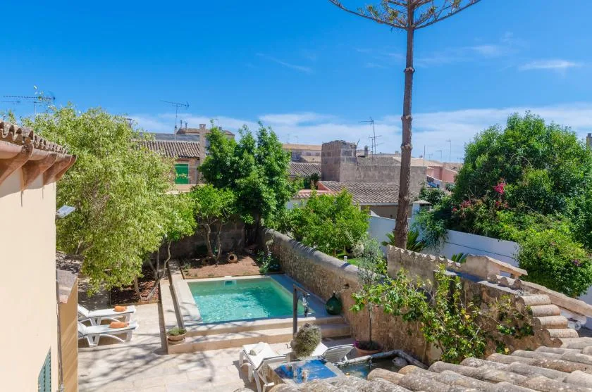 An outdoor pool area surrounded by trees, shrubs, and stone paving.
